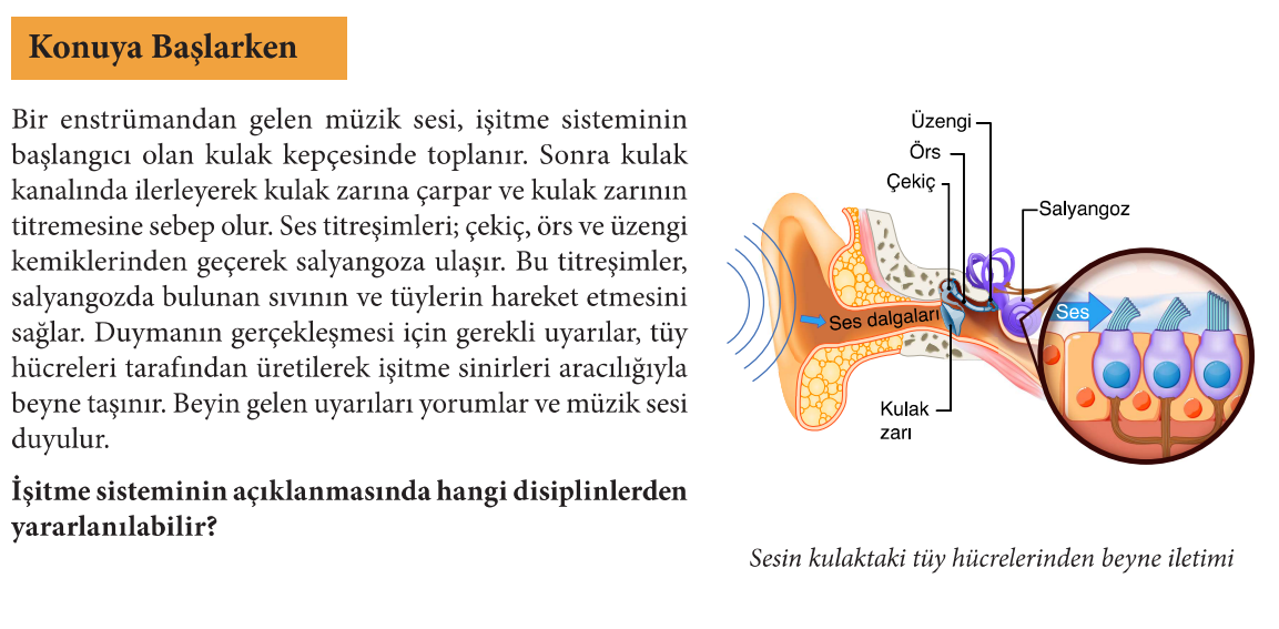 İŞİTME SİSTEMİ